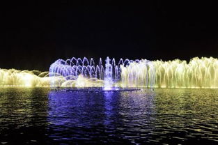 西湖音樂噴泉的介紹